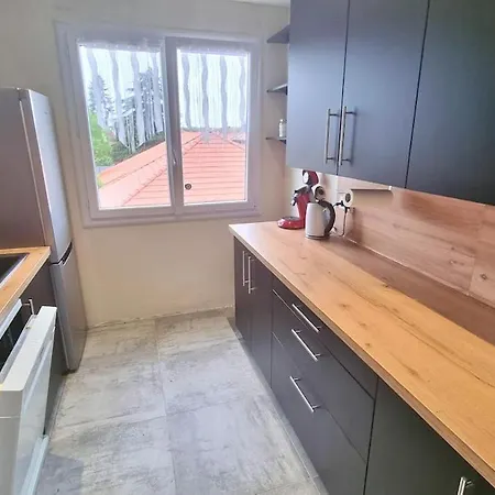 Le Duplex Pyreneen - Terrasse - Clim - Parking